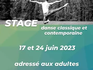 Shows-JUIN 2023 - Stage de danse classique et contemporaine