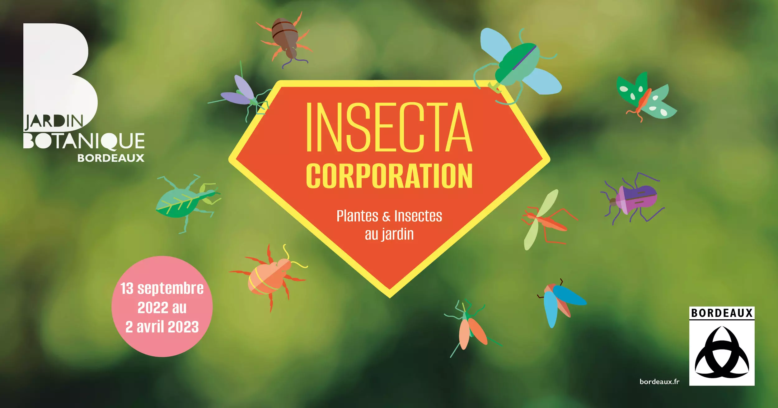 Expositions Cultures Arts-Insecta Corporation