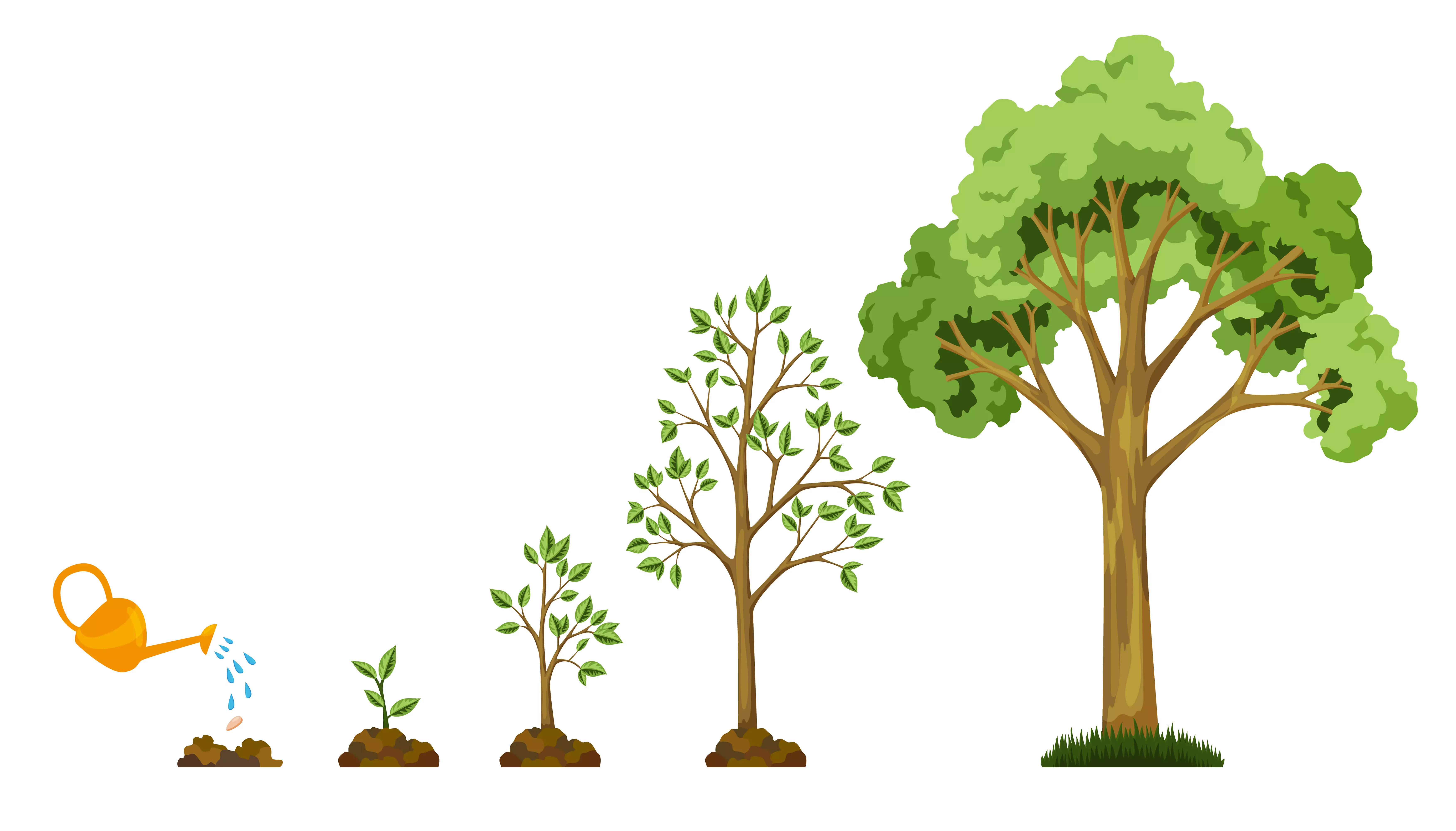 Rassemblements-Atelier "arbre d'automne" : comprendre le cycle de l'arbre