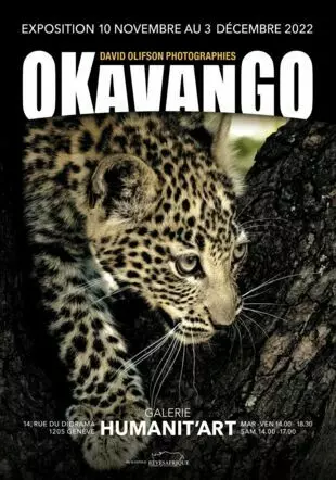 Expositions Cultures Arts-Okavango