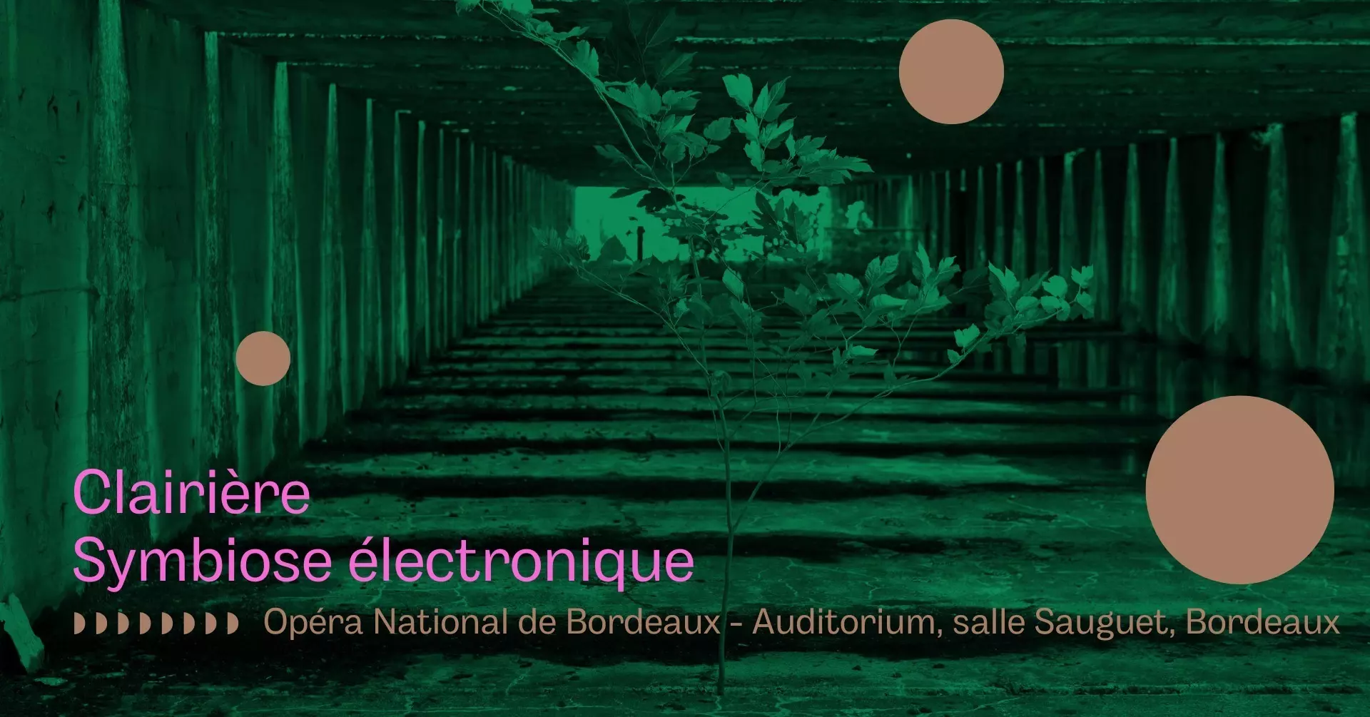 Concerts-Crédits : Proxima Centauri / Frédéric Desmesure