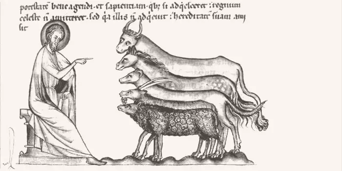 Rassemblements-Les bestiaires de l’Antiquité au Moyen Âge