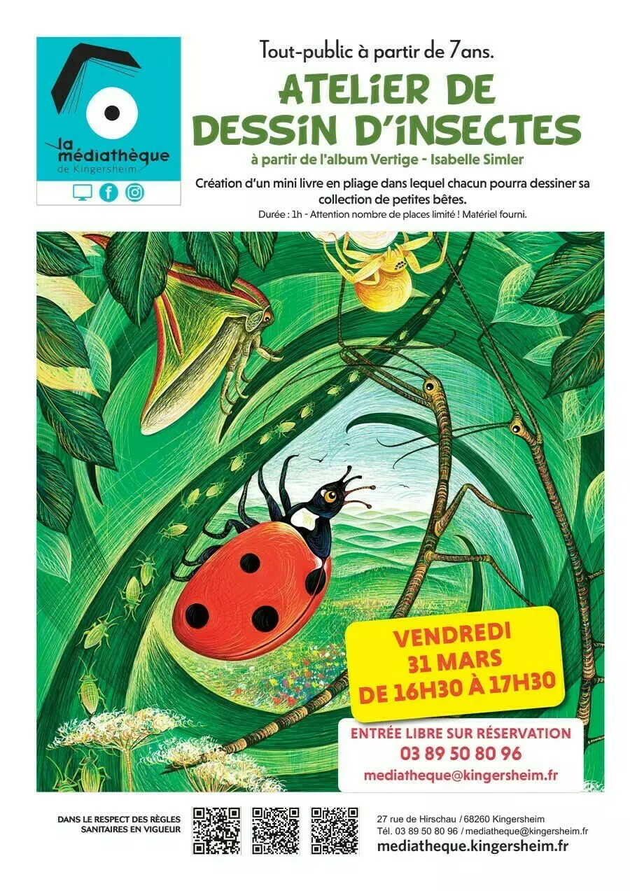 Rassemblements-Atelier de dessin d'insectes