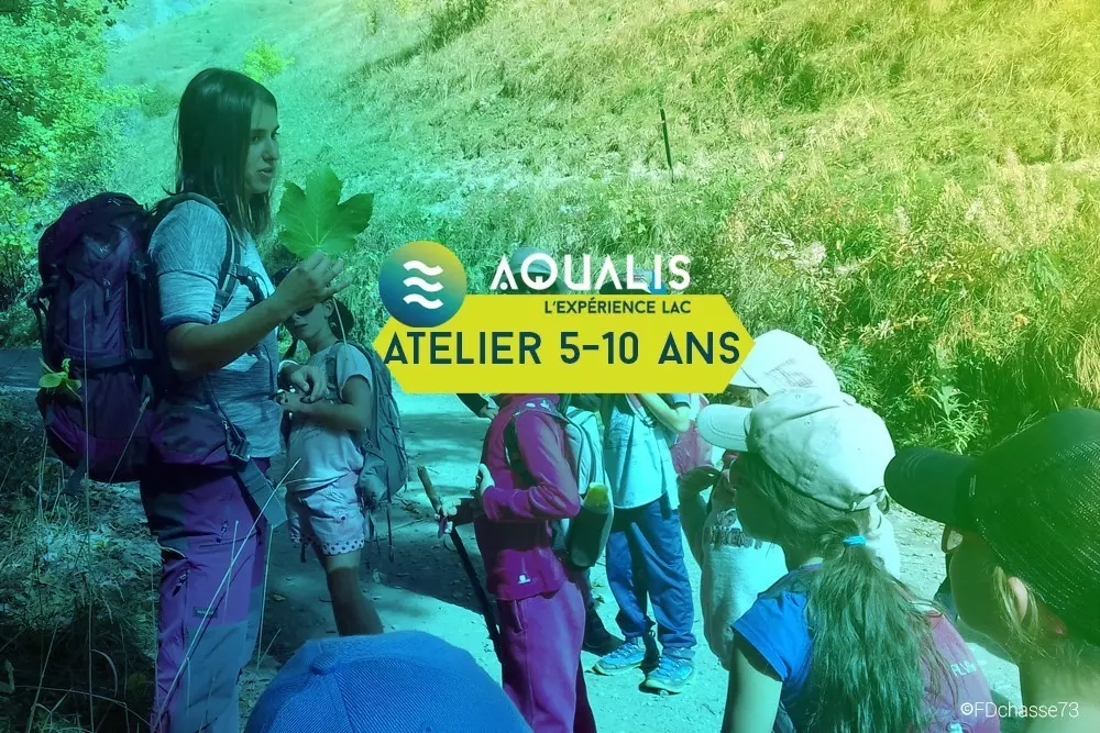 Rassemblements-Crédits : Aqualis - FD des chasseurs de Savoie