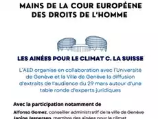 La cause climatique dans les mains de la Cour européenne des droits de l'homme