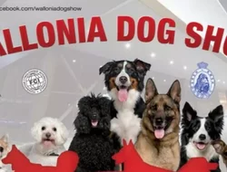 Salons-Wallonia Dog Show
