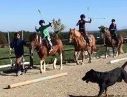 Compétitions Evènements Sportifs-Aventures Equestre