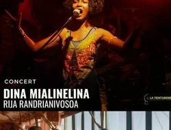 Rassemblements-Dina MIALINELINA & Rija RANDRIANIVOSOA à Bordeaux (33)