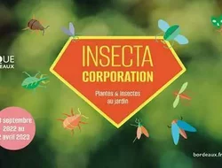 Expositions Cultures Arts-Insecta Corporation