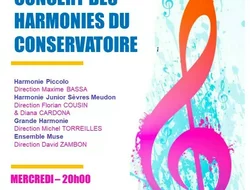 Concerts-Grand Concert des Orchestres d'Harmonie