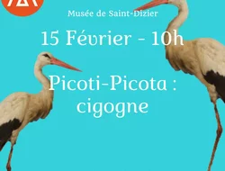 Rassemblements-Picoti-Picota : cigogne