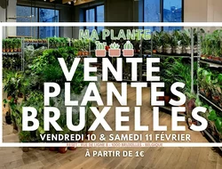 Soirées-VENTE PLANTES BRUXELLES