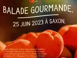 Rassemblements-Balade gourmande 2023 - Saxon