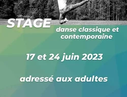 Spectacles-JUIN 2023 - Stage de danse classique et contemporaine