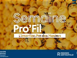 Rassemblements-Semaine Pro'Fil / L'insertion pro des masters