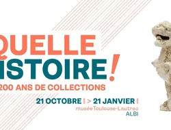Expositions Cultures Arts-Musee Toulouse Lautrec Albi: Quelle histoire ! 200 ans de collections